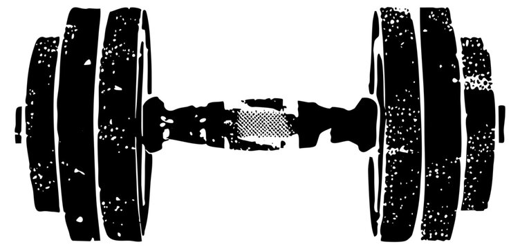 Barbell lifts weight in fitness training