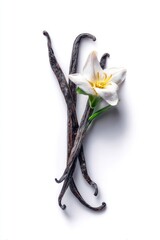 Vanilla Beans And Flower On White Background