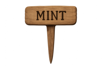 Mint herb wooden plant marker with transparent background