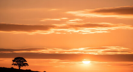 Serene Landscape with a Single Tree Silhouetted Against a Fiery Sunset.
