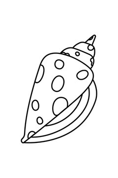 Outline of a conch, cone seashell with pattern. Beach summer coastal ocean nature travel aesthetic element for branding, illustration, stickers, coloring, design projects. High-res isolated PNG