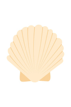 Minimalist scallop seashell PNG in soft beige. High quality beach summer coastal ocean nature travel aesthetic element for branding, illustration, scrapbooking, stickers, decor design. High-res PNG