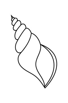 Outline of a sea snail, conch, cone seashell. Beach summer coastal ocean nature travel aesthetic element for stickers, coloring pages, scrapbooking, design projects. High-res isolated PNG