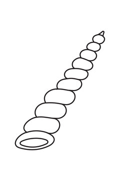 Outline of a tower seashell PNG in soft beige (boring turret snail shell). High quality beach summer coastal ocean nature travel aesthetic element for branding, illustration, scrapbooking, coloring.