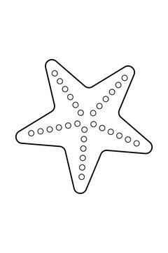 Outline of starfish, star, sea, ocean, seashell, mollusk, aquatic, sea-star, water, marine, shell, fish, beach, nature, summer, coral, tropical, animal, seastar, kids, coastal, underwater, sand, vacat