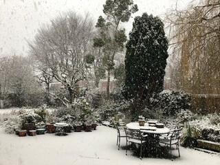 Snow falling in a garden in, North Yorkshire, England, United Kingdom