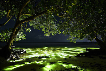 bioluminescent bay, where glowing water reflects canopy of neon green foliage