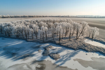 breathtaking aerial view of an untouched winter landscape, where every tree stands frozen in time