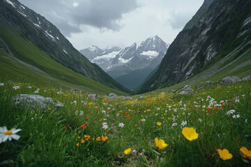 breathtaking alpine valley filled with colorful wildflowers, stretching toward snow-capped peaks