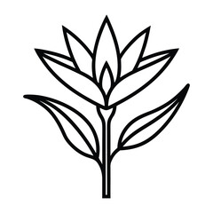 Strelitzia reginae tropical bird of paradise flower vector design isolated exotic plant for decoration and art