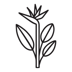 Bird of paradise flower Strelitzia reginae elegant tropical bloom vector image for natural design and decor