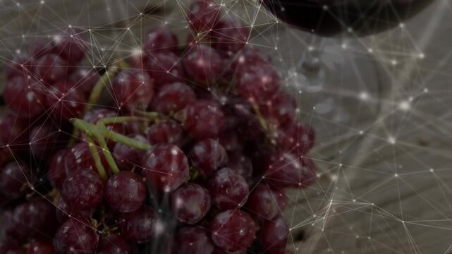 Network overlay showing, drifting, making glass drop while grapes staying center for still shot