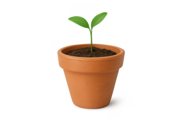 Small plant seedling growing in terracotta pot with soil