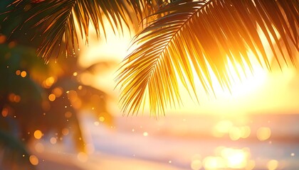 Palm fronds frame a golden sunset over the ocean, creating a warm and inviting tropical scene.