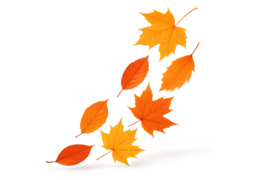 Falling autumn leaves overlay on transparent background dynamic motion depth and blur