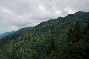 east face of mountain densely packed with pine trees on a cloudy day with storms looming the horizon as wind and fog whip up in the distance