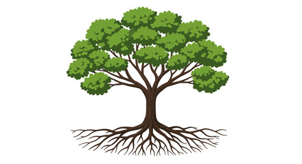 Obraz premium Detailed Tree Illustration with Exposed Roots and Lush Green Canopy