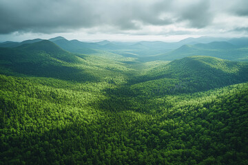 Fototapeta premium breathtaking aerial view of an untouched evergreen forest vast, unspoiled sea of green