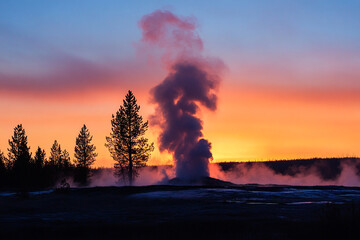 A silhouette of trees against a geyser eruption at sunset