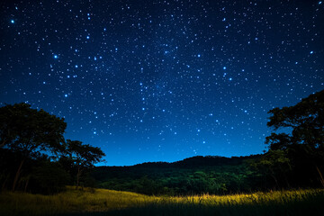 A Starlit Sky Over an Isolated Forest Clearing An untouched night sky spills galaxies over a quiet woodland sanctuary