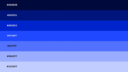 color palette combination with a combination of colors from dark to light with a code once - blue