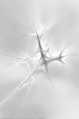 Abstract Fractal Network Design In Gray And White