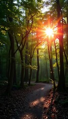 Fototapeta premium Sunlight filtering through dense canopy illuminates a winding, leaf-strewn forest path, dappled light, nature