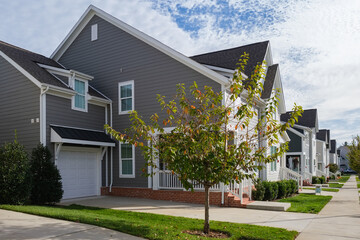 Modern Southern American Townhomes