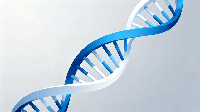 A schematic diagram of the DNA double helix structure, the classic form of gene molecules.