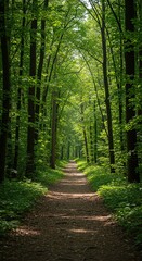 A tranquil forest path winding through lush green trees, bathed in dappled sunlight, evoking peace and natural beauty and growth ,forest scene ,trail ,tranquil