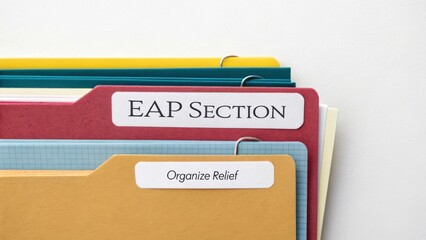 Organized color-coded document folders for efficient filing and retrieval with labels for EAP section and relief organization