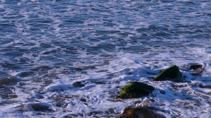 CA Vta Pacific Ocean Breaking Wave on Moss 2025