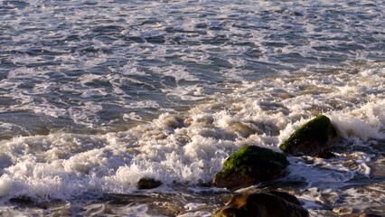 CA Vta Pacific Ocean Breaking Wave on Moss Rocks 2025