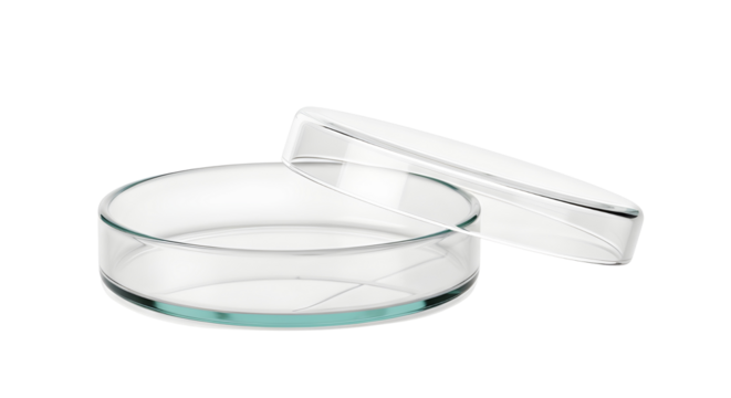 Empty clear glass laboratory Petri dish with cover isolated on white background