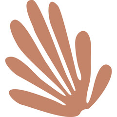 Fototapeta premium Terracotta Abstract Organic Shape with Petal Like Formations Isolated on Transparent Background in Soft Natural Lighting