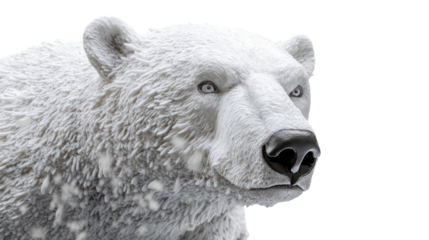 Snow sculpture of a polar bear ultra realistic high resolution on transparent background