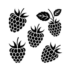 Black silhouette of raspberries