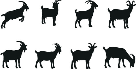 Squirrel silhouette set, bushy tail poses, leaping, standing, grazing, playful animal icons, black shapes, flat vector illustration