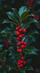 A vibrant cluster of holly leaves and bright red berries, symbolizing winter festivities and spreading joyful holiday cheer ,red ,bright ,Holly
