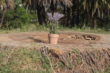 Planta de lavanda artificial