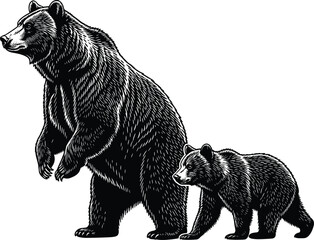Bear, cub, silhouette, vector, wildlife, animal, forest, standing, walking, black, white, nature, fur, mammal, protection, alert, parent, child, illustration, design © Faruk Here