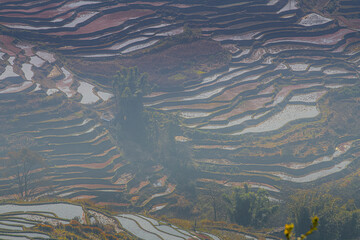 Close up sunset picture of Yuanyang rice terrace from Bada scenic area in Yunnan province, China