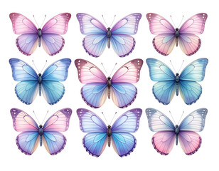  Collection of Pastel Colored Butterflies, Realistic Wing Texture Set, Isolated on Transparent Background 