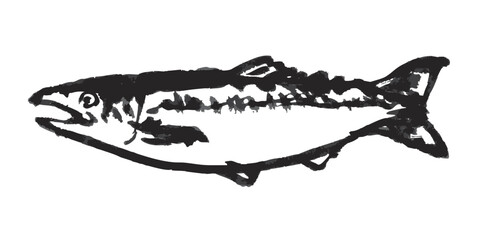 鮭　墨絵　イラスト