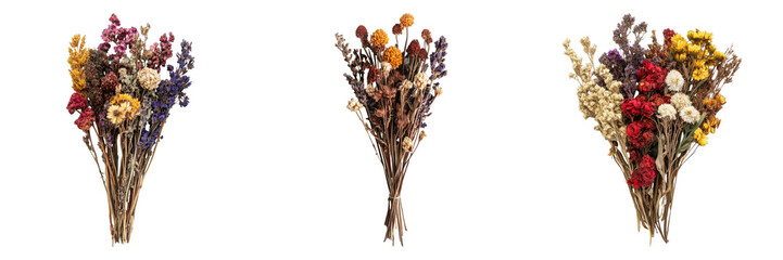 Three vibrant bouquets of dried flowers, artfully arranged and tied. Each bouquet boasts a unique color palette