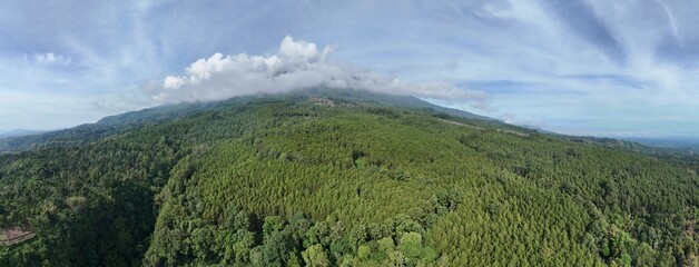 A wide panoramic aerial view of a majestic mountain covered in a vast, dense green forest, with a band of white clouds gracefully resting upon and obscuring the peak against a wide blue sky.