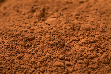 Organic Raw Dry Cocoa Powder
