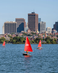 People are surfing in Charles river under a sunny day