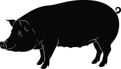 Pig silhouette in side profile view, livestock animal concept, cad drawing flat vector illustration, farm branding, agriculture reference design