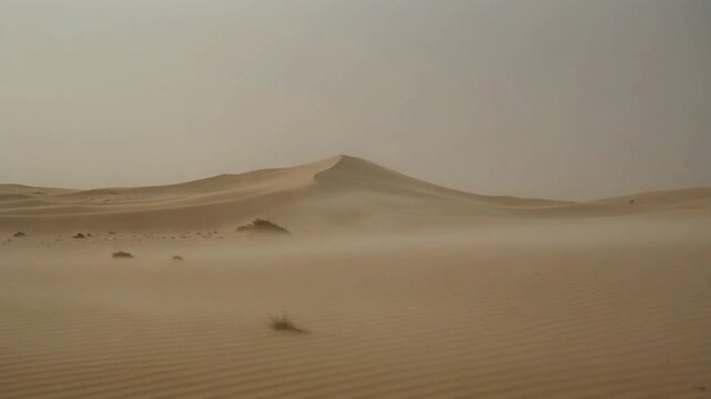 Strong wind storm over desert dunes, sand whipping, particles flying in slow motion, sky turning grey, dramatic horizon, subtle turbulence, cinematic realistic simulation.